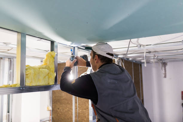 Best Cellulose Insulation in Hebron, OH