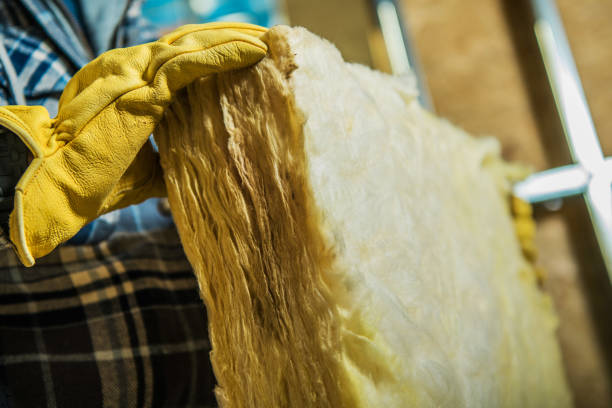 Best Geographic-Specific Insulation Services in Hebron, OH
